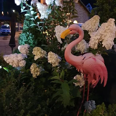 Boutique-hotel Chez Jan Hotel