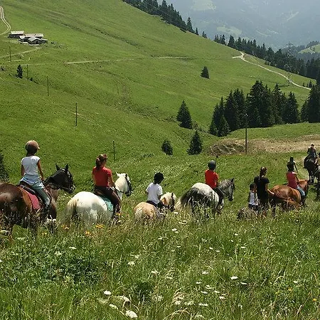 Boutique-hotel Chez Jan Hotel