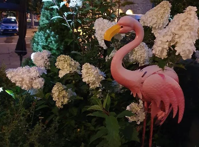 Boutique-hotel Chez Jan Hotel