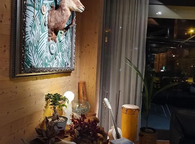 Boutique-hôtel Chez Jan Hotel Morgins