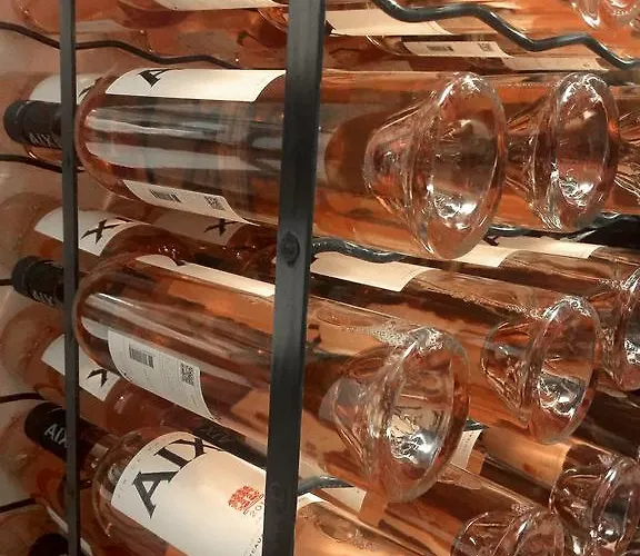 Hotel Boutique-hôtel Chez Jan Morgins