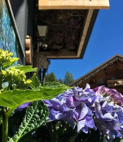 Boutique-hotel Chez Jan