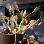 Boutique-hotel Chez Jan Hotell